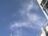 DSC09805